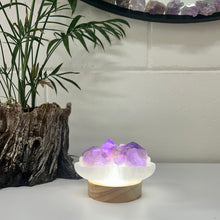 Load image into Gallery viewer, SELENITE FIRE BOWL
