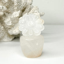 Load image into Gallery viewer, CRYSTAL FLOWER POT CARVING
