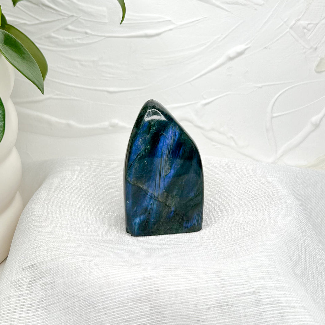 LABRADORITE FREEFORM