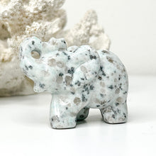 Load image into Gallery viewer, KIWI JASPER LUCKY ELEPHANT
