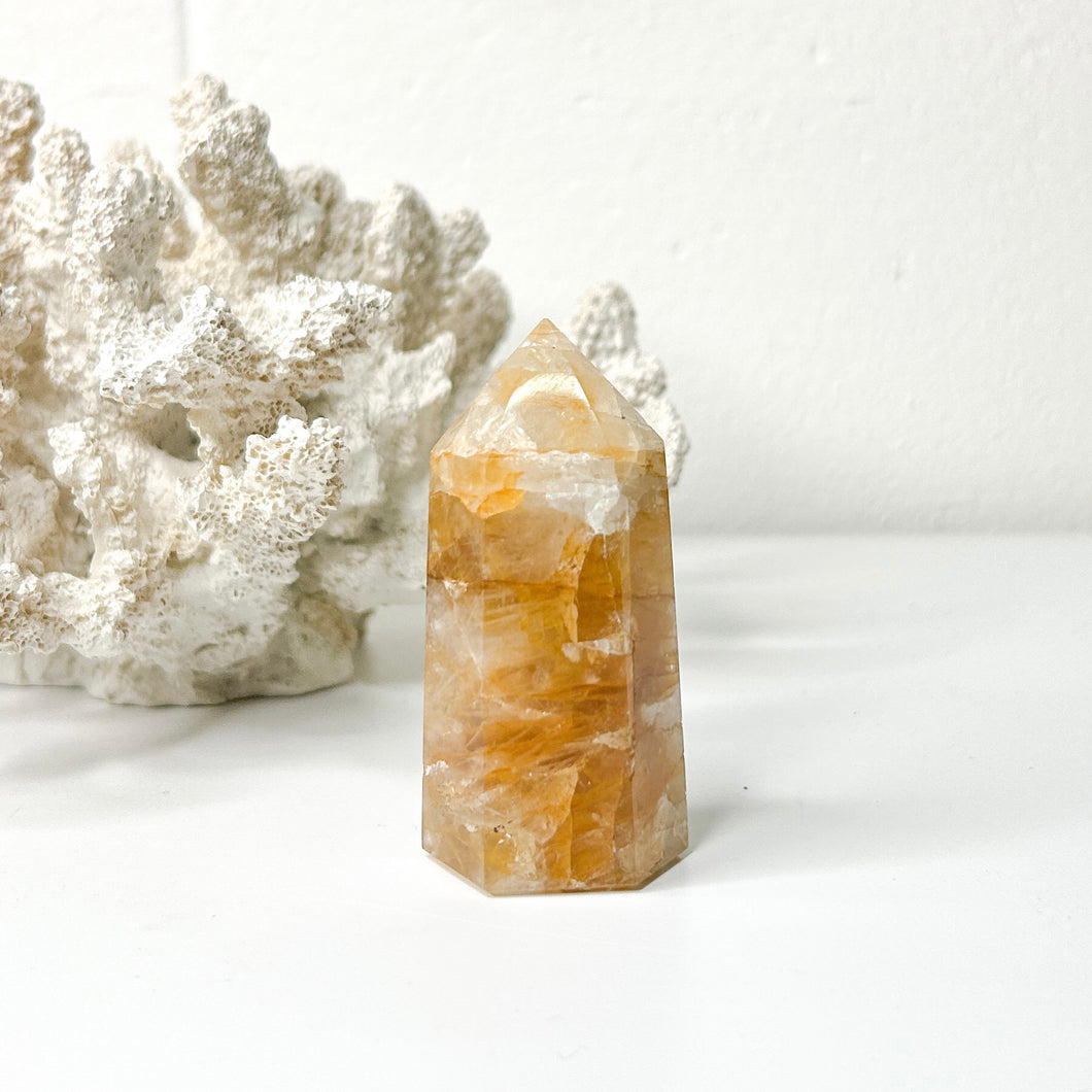 GOLDEN HEALER POINT