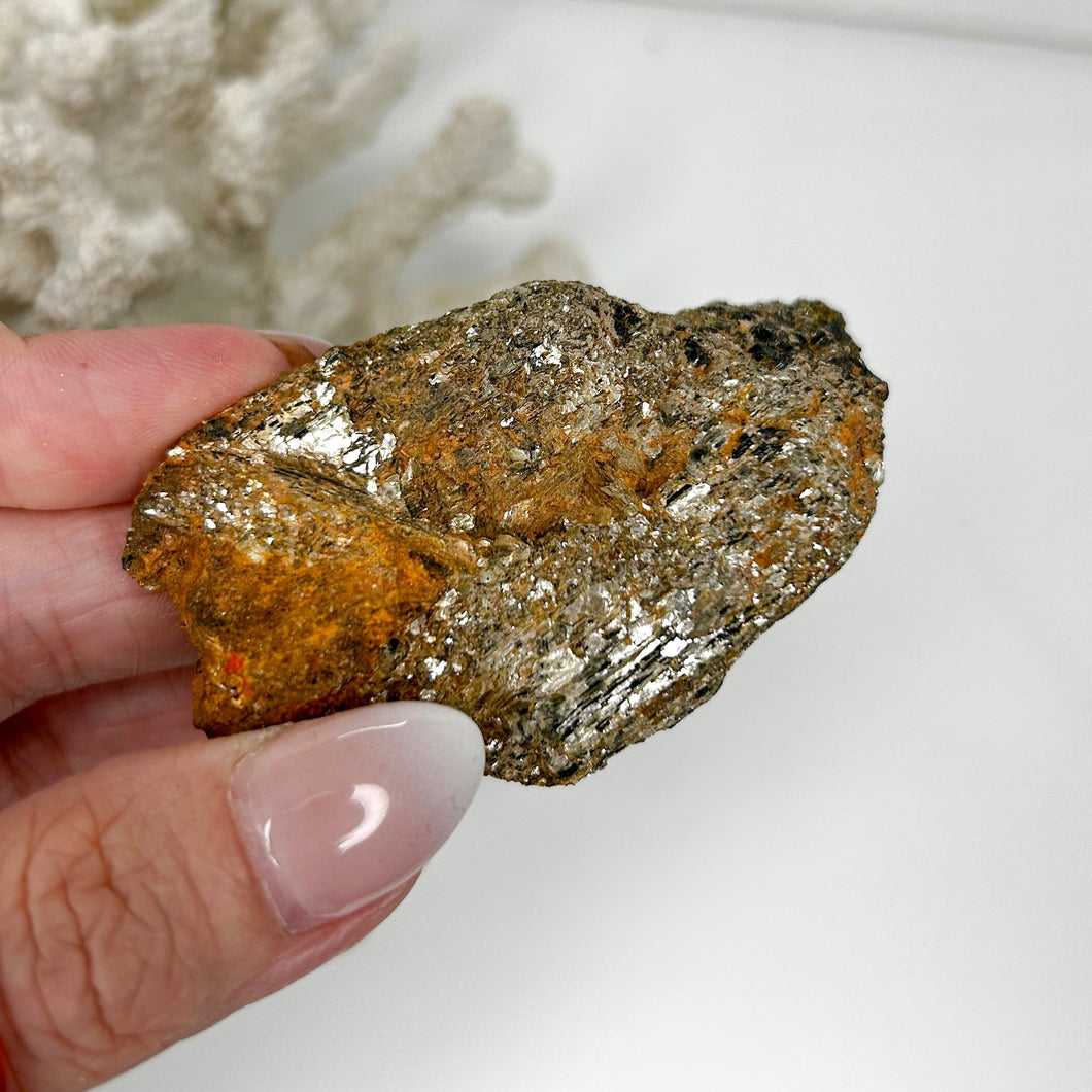 BLACK TOURMALINE IN GOLDEN MICA