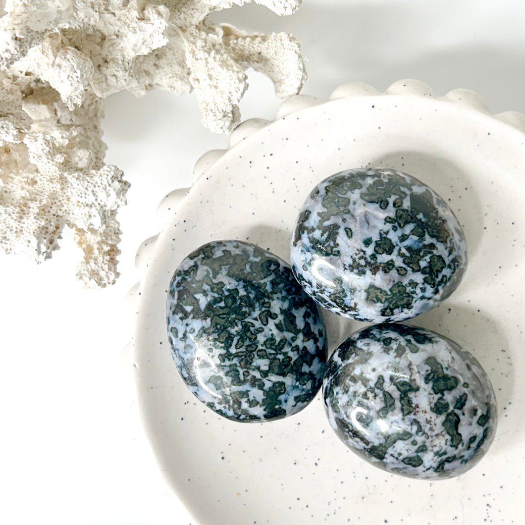 INDIGO GABBRO PALMSTONE