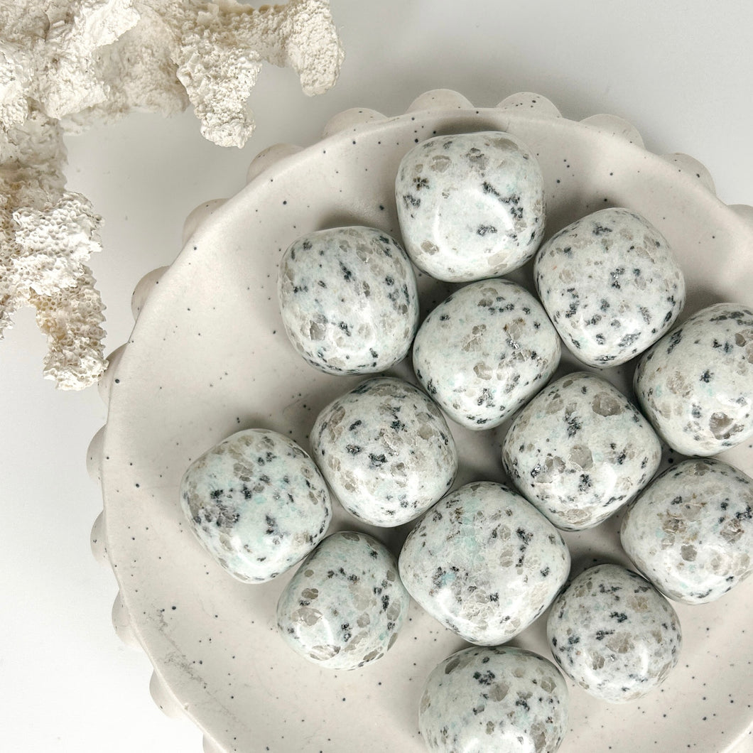 KIWI JASPER LARGE TUMBLE