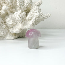 Load image into Gallery viewer, MINI MUSHROOM CARVING

