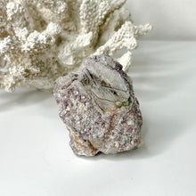 Load image into Gallery viewer, PURPLE MICA SPECIMEN
