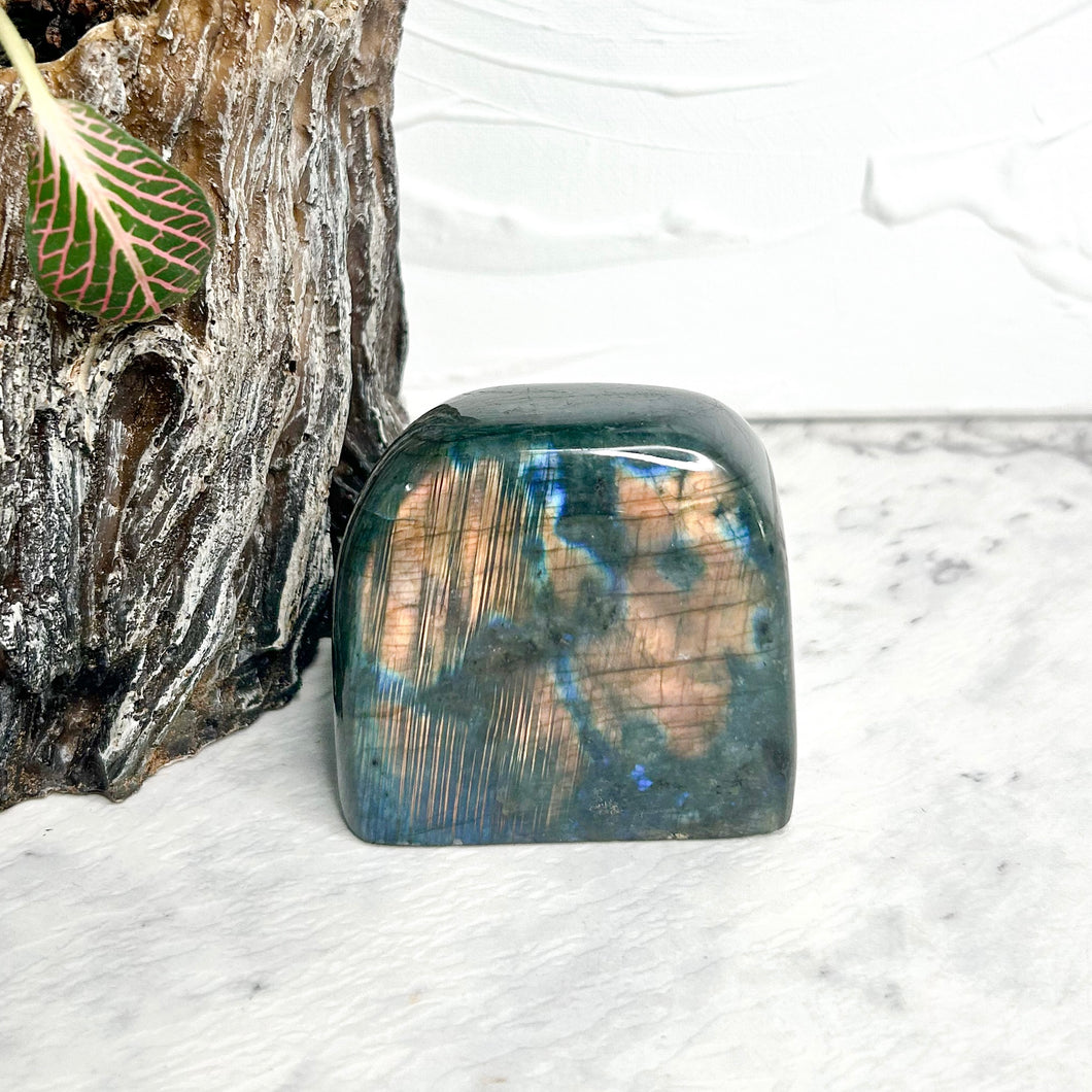 LABRADORITE FREEFORM