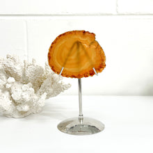 Load image into Gallery viewer, AGATE SLICE
