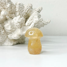 Load image into Gallery viewer, MINI MUSHROOM CARVING
