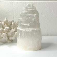 Load image into Gallery viewer, SELENITE LAMP
