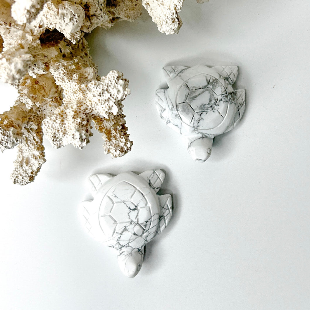 HOWLITE TURTLE