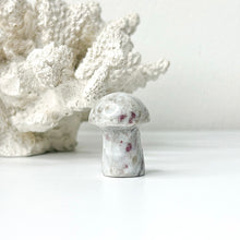 Load image into Gallery viewer, MINI MUSHROOM CARVING

