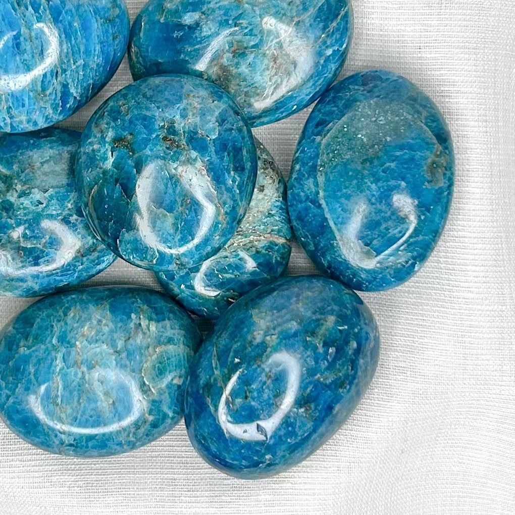 BLUE APATITE PALMSTONE