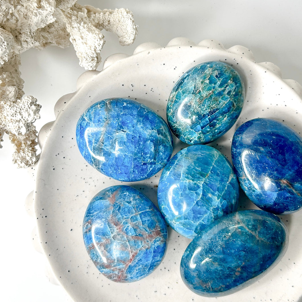 BLUE APATITE PALMSTONE