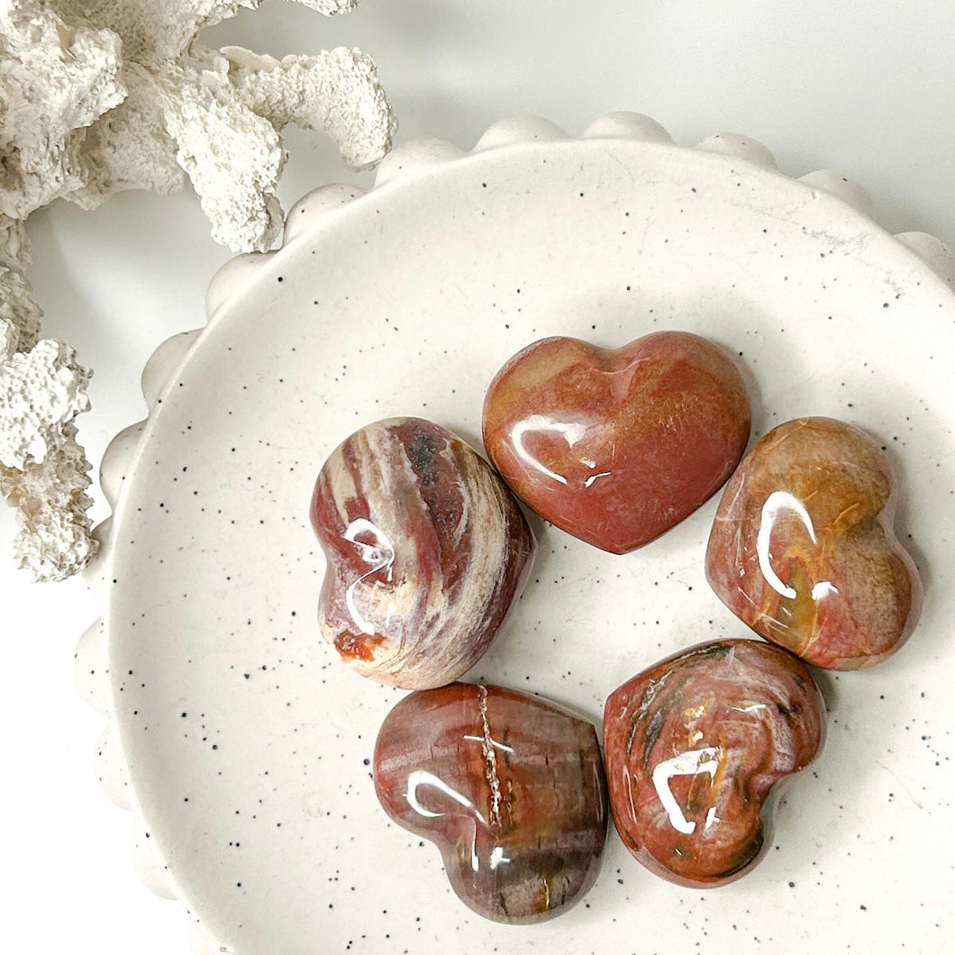 PETRIFIED WOOD HEART