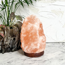 Load image into Gallery viewer, NATURAL HIMALAYAN SALT LAMP
