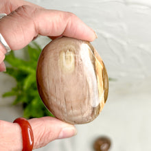 Load image into Gallery viewer, PETRIFIED WOOD PALMSTONE
