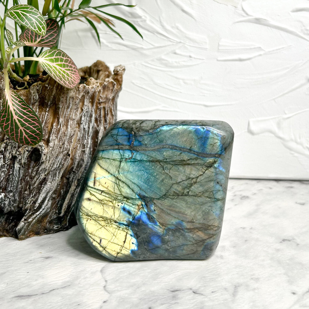 LABRADORITE FREEFORM
