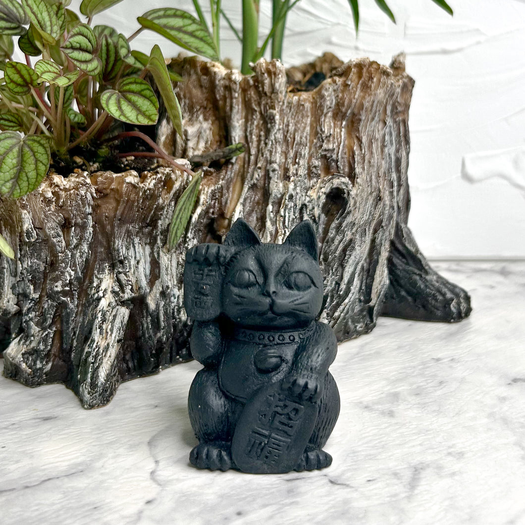 SHUNGITE CAT