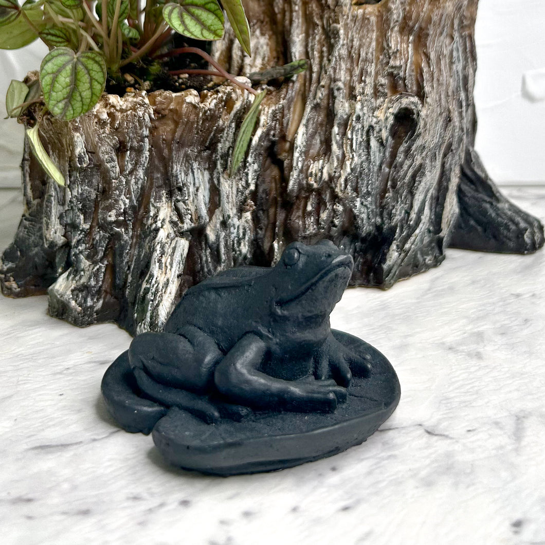 SHUNGITE FROG