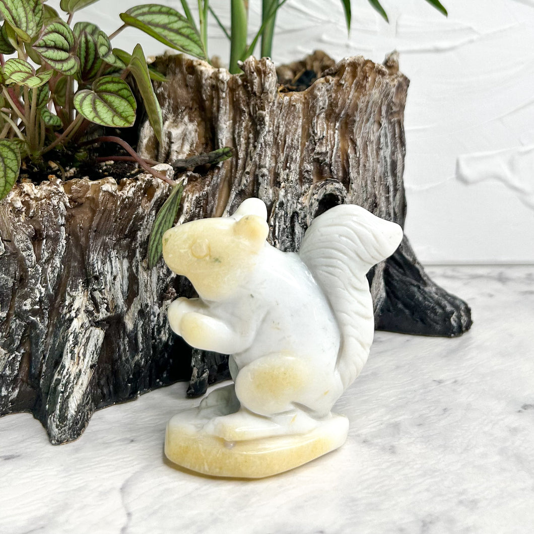 SERPENTINE SQUIRREL