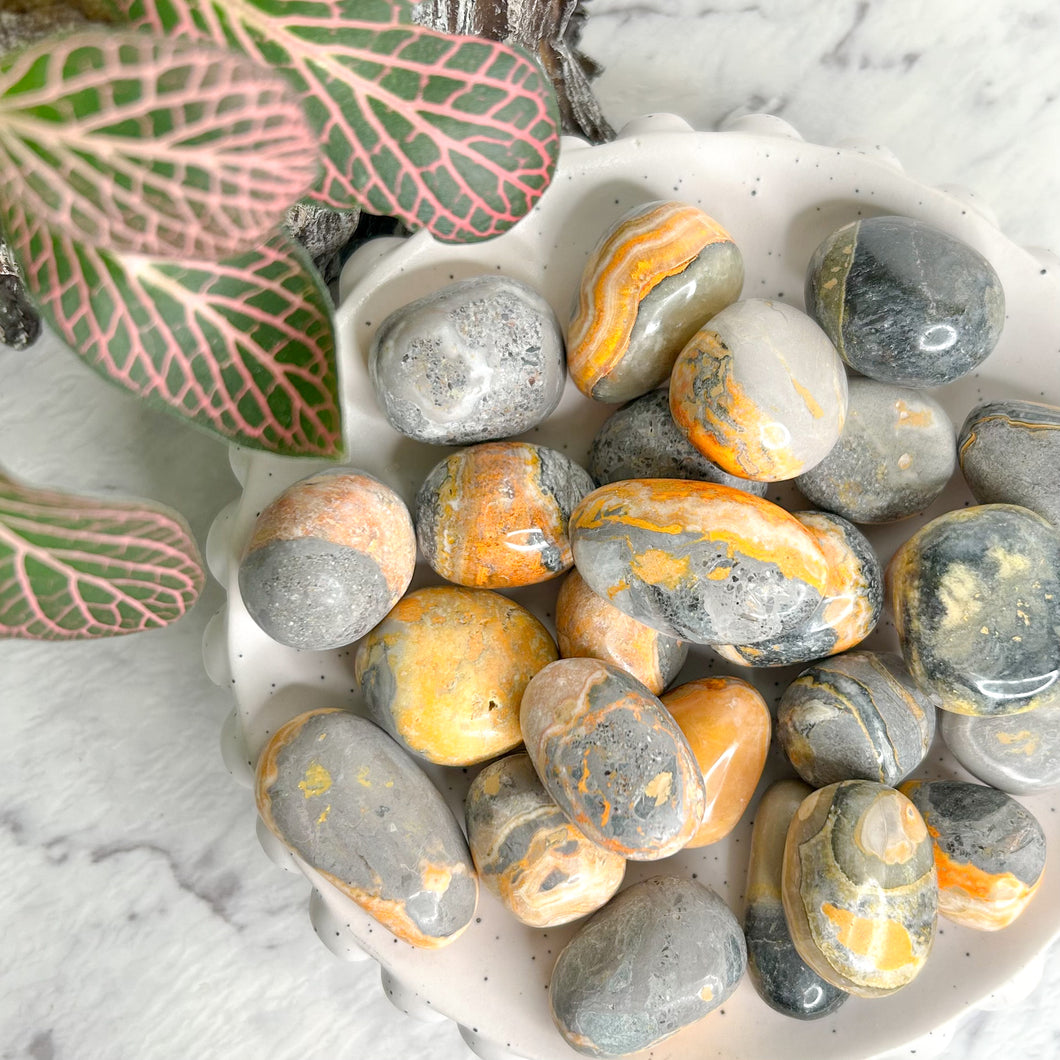 BUMBLEBEE JASPER TUMBLE STONE