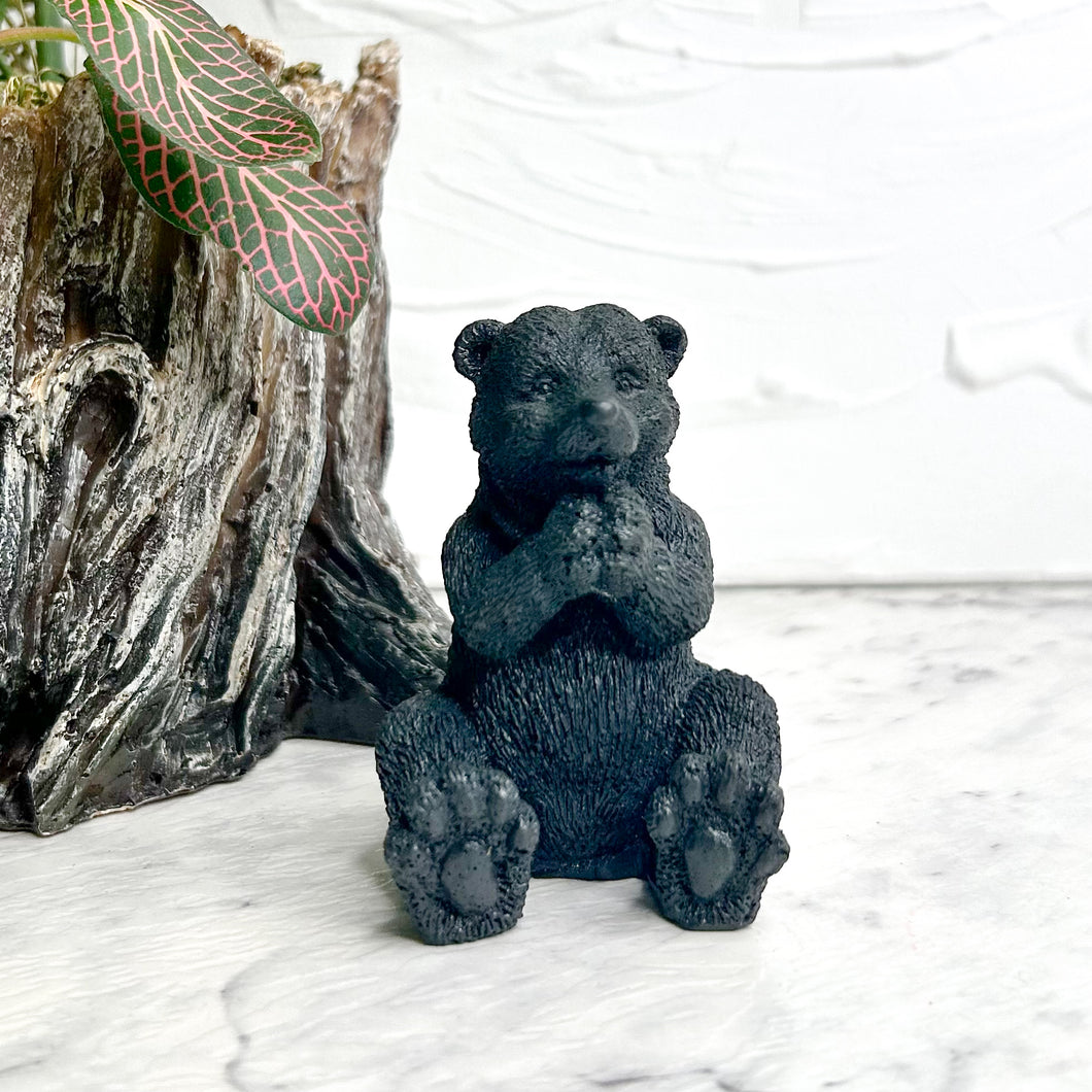 SHUNGITE BEAR