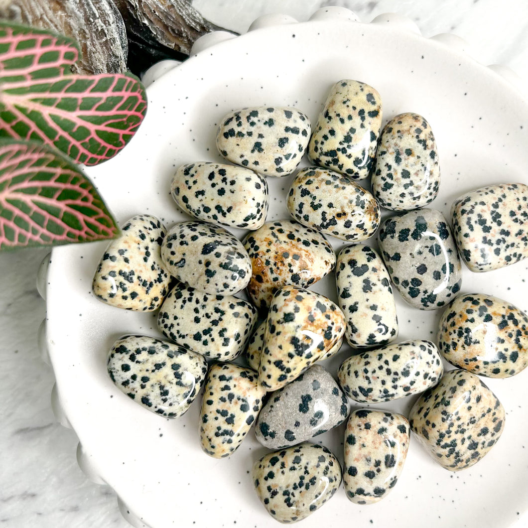 DALMATIAN JASPER TUMBLE