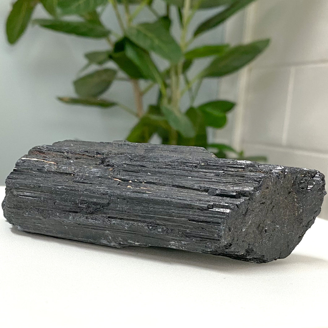 BLACK TOURMALINE MED ROUGH